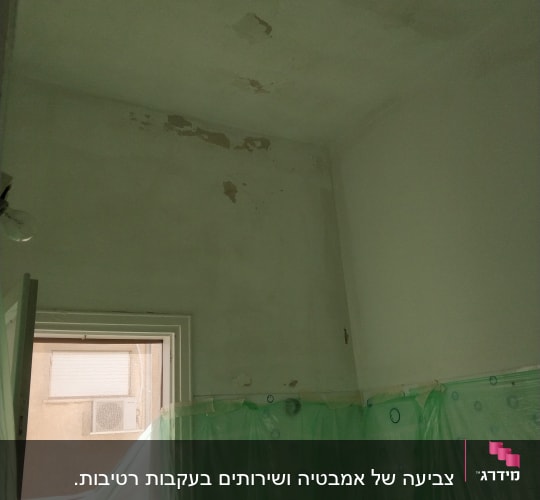 קיר מתקלף עם כיסוי פלסטיק ירוק להגנה על הקירות